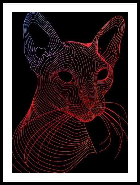 Plakat 39,5x55cm Cyfrowa Kocica zdjęcie 3