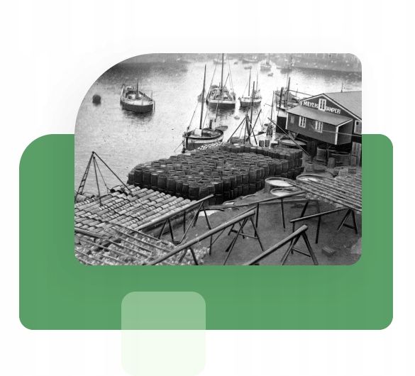 2x Möller's Complex ODPORNOŚĆ 60 kap. WITAMINA D3 2000 OMEGA-3 MÓZG SERCE zdjęcie 10