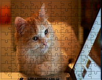 Puzzle Koty