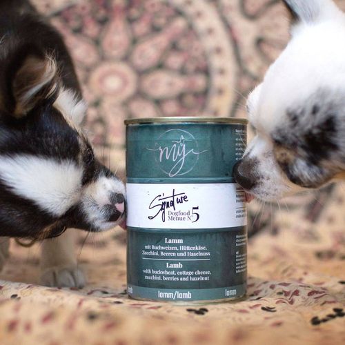 Jagnięcina 75% mięsa z gryką i twarogiem dla psa | karma mokra dla psa 410g na Arena.pl