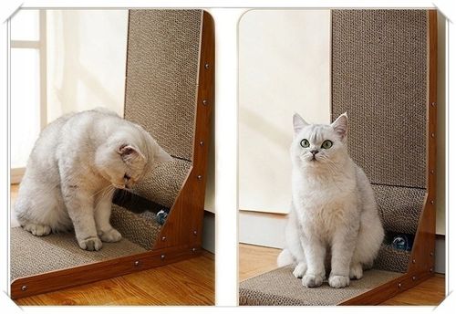 Drapak Narożny Dla Kota Kotów Zabawka z Piłką na Arena.pl