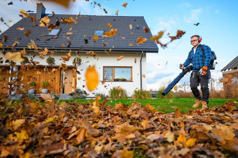 CEDRUS DM05 PRO PROFESJONALNY ODKURZACZ  DMUCHAWA SPALINOWA OGRODOWA DO LIŚCI - OFICJALNY DYSTRYBUTOR - AUTORYZOWANY DEALER CEDRUS zdjęcie 40