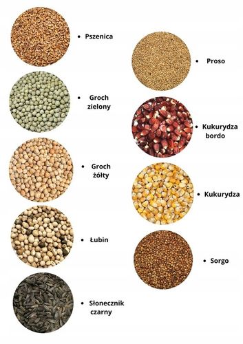 Zdrowa i Smaczna Karma dla Pawi 20kg na Arena.pl