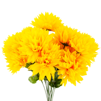 product-compare-61157249