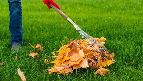 Yara Mila Nawóz jesienny do Trawy Trawnika Ogrodu na mech PRO. na Arena.pl