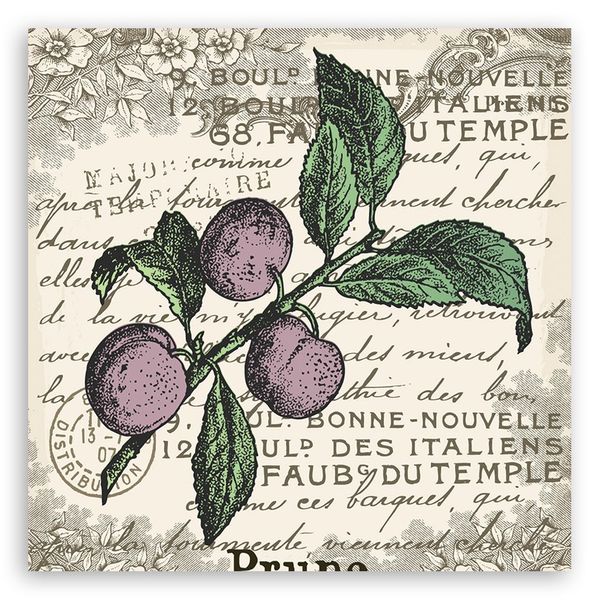 Emaga Obraz na płótnie, Śliwka vintage - 30x30 zdjęcie 3