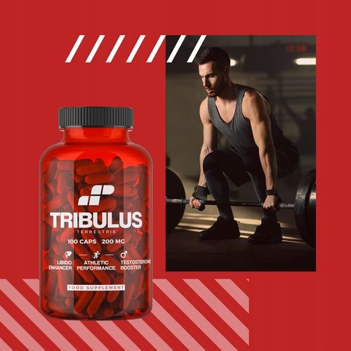 TRIBULUS TESTOSTERON TERRESTRIS BUZDYGANEK TESTO LIBIDO 100 MUSCLE POWER na Arena.pl
