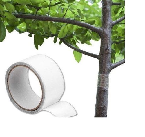 Pułapka chroniąca drzewa przed owadami, 5 m x 5 cm,+RABAT na Arena.pl