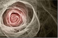 product-compare-58695762