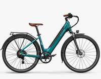 Fiido C11 Pro 250W bateria 48V 10.4Ah zasięg do 104 KM czujnik nacisku na p