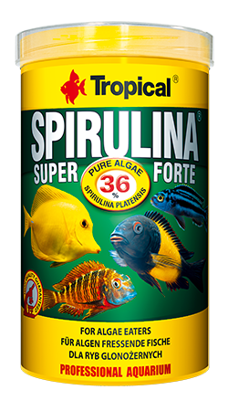 Tropical SPIRULINA Forte 250ml na Arena.pl