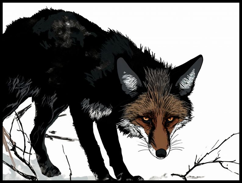 Plakat 100x75cm Nieufny Lis zdjęcie 2