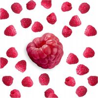 MALINA LIOFILIZOWANA CAŁA Maliny Liofilizowane Całe 100g POLSKA