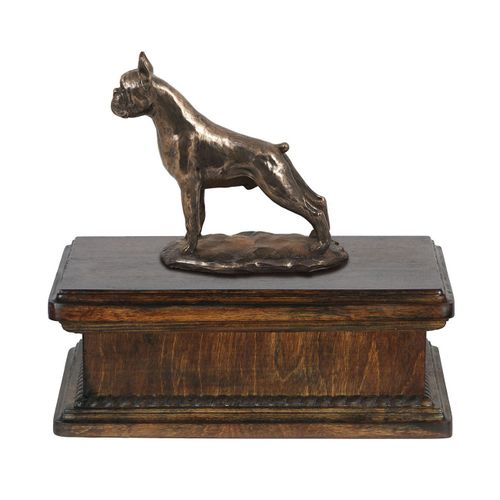 Bokser cropped- eksluzywna urna na Arena.pl