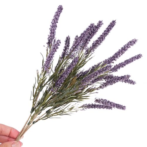 Wrzos Bukiet na Arena.pl