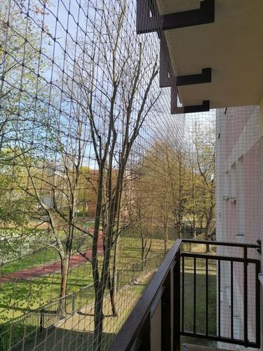 ZESTAW GRUBA SIATKA DLA KOTA NA ZACZEPY 2 x 1.5 m OCZKO 40 mm BEZ WIERCENIA na Arena.pl