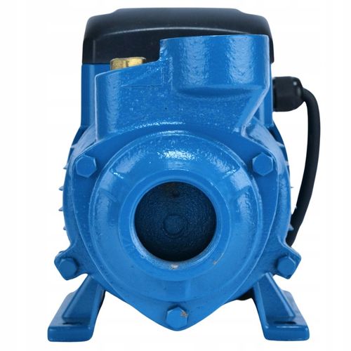 Pompa Ogrodowa HYDROFOROWA 900W - Wysoka Wydajność i IP68 do Czystej Wody na Arena.pl