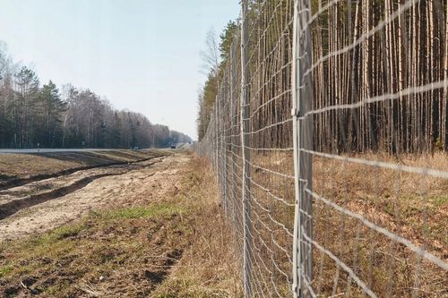 SIATKA LEŚNA ogrodzeniowa 100cm 8/15 L - ROLKA 50m - GRUBY DRUT OCYNKOWANA na Arena.pl