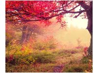 60X50CM JESIENNY KRAJOBRAZ OBRAZ ŚCIAN DREWNIANE