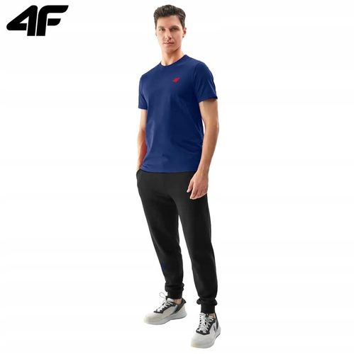 KOSZULKA MĘSKA 4F T-SHIRT BAWEŁNIANY PODKOSZULEK SPORTOWY CO DZIEŃ na Arena.pl