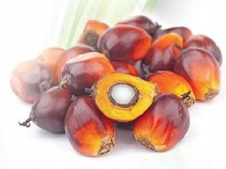 AVITALE TOKOTRIENOLE w kroplach witamina E zdjęcie 4