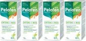 Phytopharm Pelafen KID 3+ Zatoki i Nos 100 ml płyn malinowy