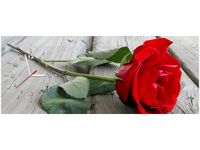 100X40CM ZEGAR RÓŻA DESKACH OBRAZ