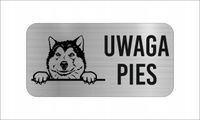 GRAWER Tabliczka nierdzewna 20x10 cm UWAGA PIES Alaskan malamute