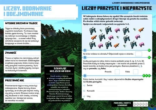 Minecraft. Matematyka. Megazadania. 8+ na Arena.pl