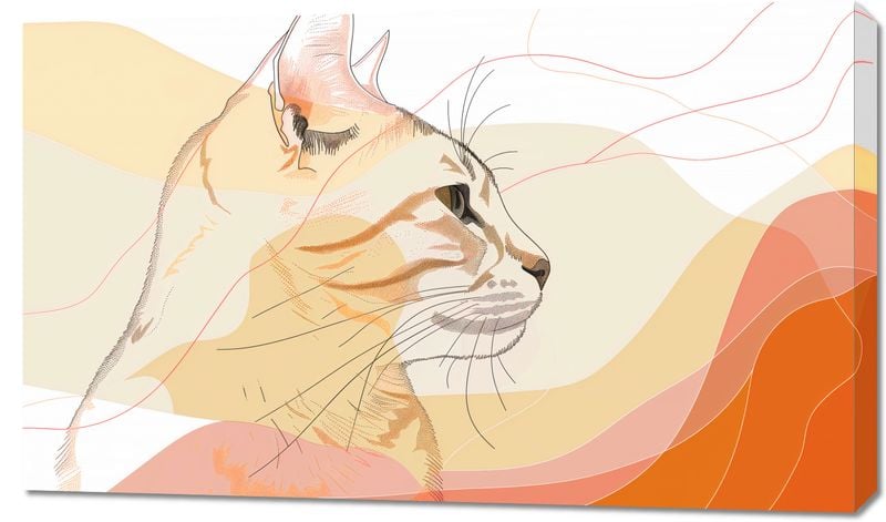 Obraz 100x60cm Delikatny Profil Kota zdjęcie 1