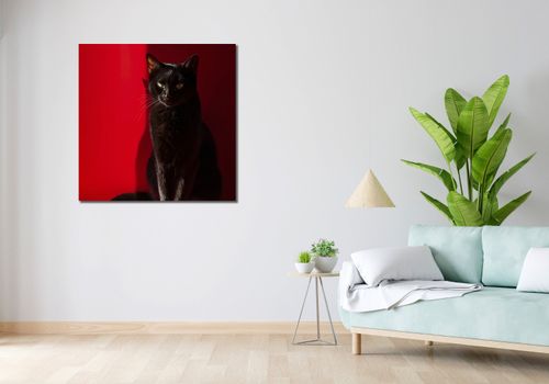 Obraz 90x90cm Elegancja w Cieniu na Arena.pl