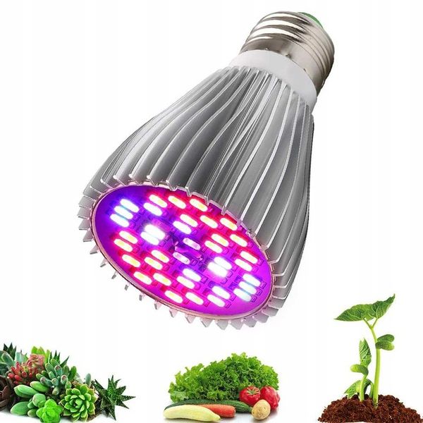 ŻARÓWKA DO WZROSTU UPRAWY ROŚLIN E27 40x LED 30W zdjęcie 5