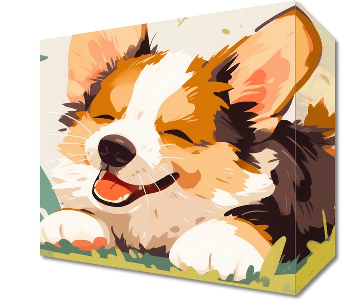 Obraz 20x20cm Beztroski Corgi zdjęcie 1