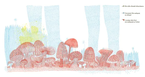 Co kryje las? na Arena.pl