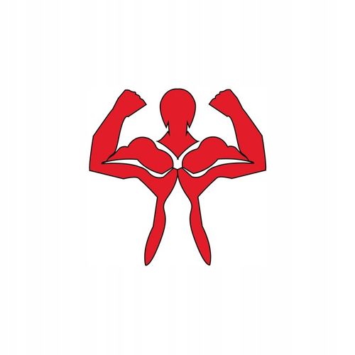 ZESTAW startowy do herbaty matcha BIO 100g z piękną czarką miotełką i łyżką na Arena.pl