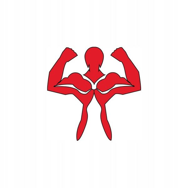 ZESTAW startowy do herbaty matcha BIO 100g z piękną czarką miotełką i łyżką zdjęcie 13