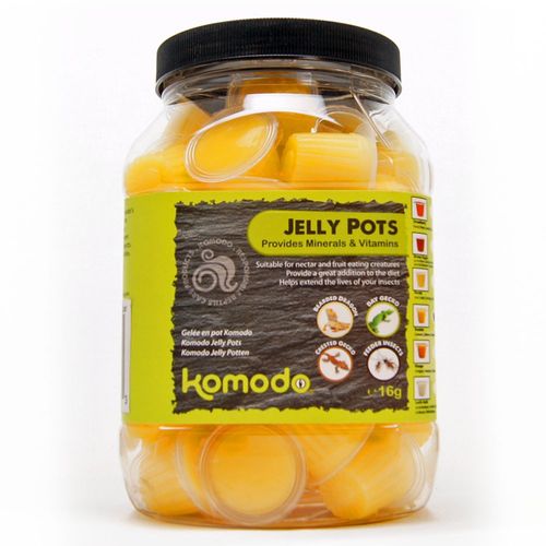 Komodo Jelly Pot Classic na Arena.pl