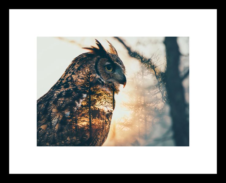 Plakat 18x13cm Sowi Duch zdjęcie 3