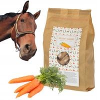 Smakołyki smaczki przysmaki cukierki dla konia Delizia Classic MARCHEW 1 kg