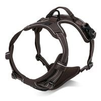 Szelki dla Psa Truelove Brązowe Rozmiar L