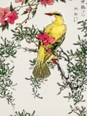 Plakat 30x40cm Chinese Bush-Warbler, Kashu Vintage do Salonu