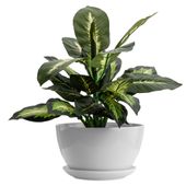 Doniczka Podstawka25x15 cm Biały Osłonka Ceramika