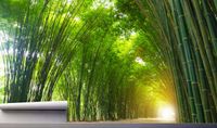 Fototapeta BAMBUSOWY TUNEL ZIELONY LAS 370x250