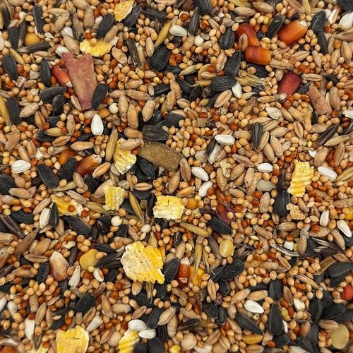 KARMA DLA PAPUG ŚREDNICH 5kg papugi NIMFA ROZELLA pokarm STANDARD Champi na Arena.pl