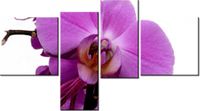 100 55CM OBRAZ 4 ELEM FIOLETOWY STORCZYK PŁÓTNO DRUK