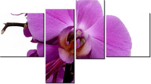 100 55CM OBRAZ 4 ELEM FIOLETOWY STORCZYK PŁÓTNO DRUK na Arena.pl