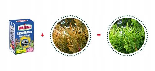 Substral Saprol mączniak, rdza, czarna plam.100ml na Arena.pl