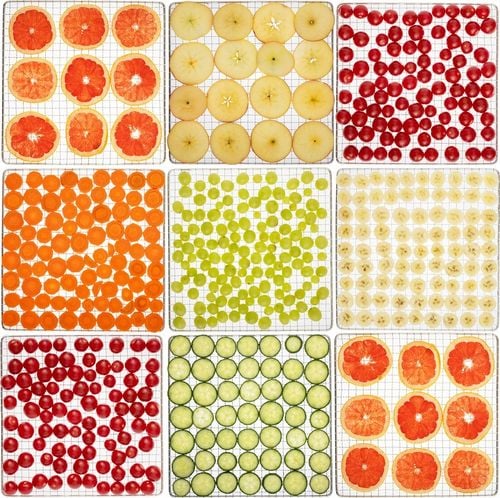 SUSZARKA SPOŻYWCZA DO ŻYWNOŚCI GRZYBÓW ZIÓŁ OWOCÓW WARZYW TIMER! 1000W na Arena.pl