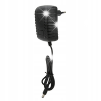 ZASILACZ 24V 2A WTYK DC 100~240V 50/60HZ WTYCZKOWY