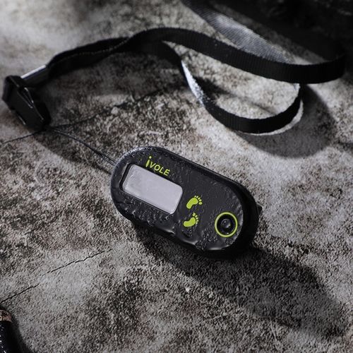 Elektroniczny krokomierz Przenośny licznik kroków Mini krokomierz na Arena.pl